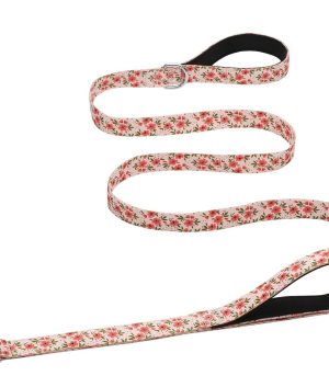 Double Handle Dog Leash 6 Foot Cute Girl Padded Traffic Handles for Walking Training (Cream Natural Floral, 6ft)