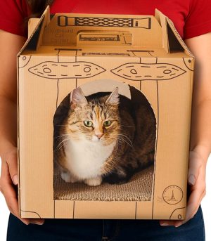 Cardboard Cat Carrier for Adoption & Travel – 3-in-1 Pet Carrier, Scratcher, and Hideout – Eco-Friendly & Biodegradable – Cat Scrach Box – 15.7"x13.6"x13.6"