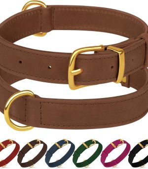 Genuine Leather Dog Collar - Heavy Duty Adjustable Soft Padded Pet Collars for Small Medium Large Dogs Breed - Black Green Brown Pink Red Blue (Cognac, S, 9"-12" Neck Fit)
